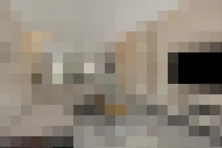 Braakven 90 Berlicum thumbnail 8
