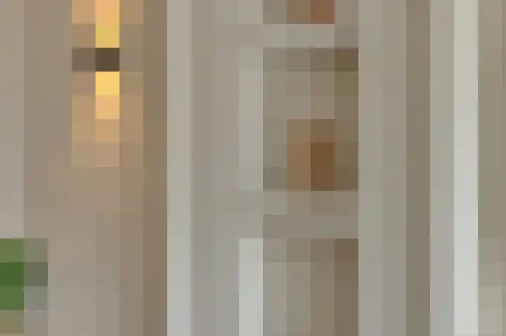 Braakven 90 Berlicum thumbnail 9