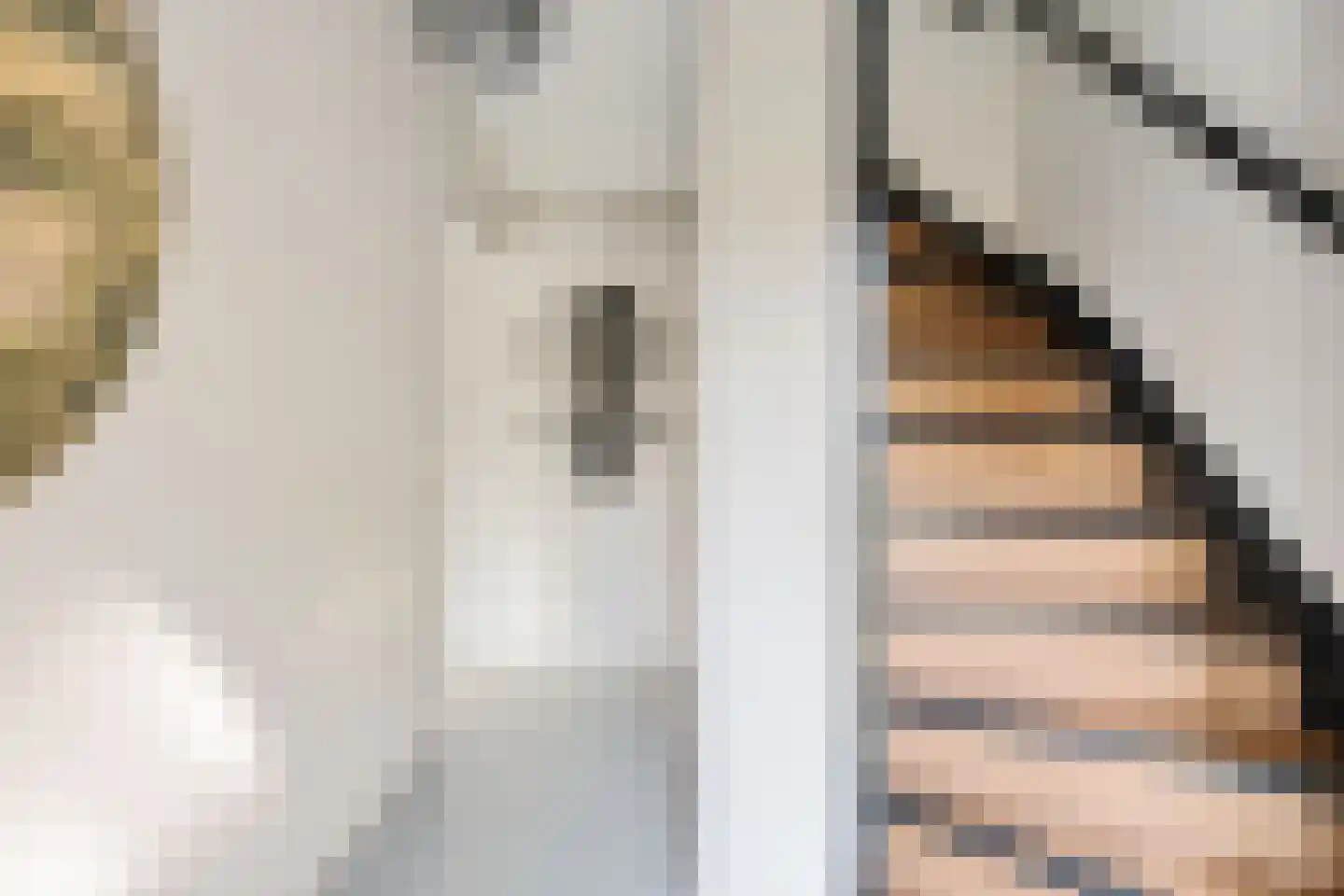 Braakven 94 Berlicum thumbnail 4