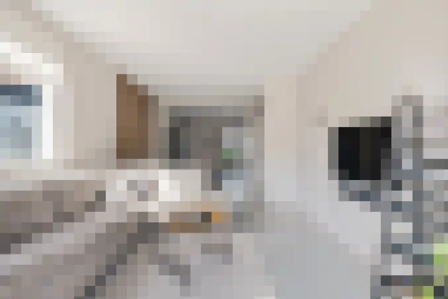 Braakven 94 Berlicum thumbnail 8