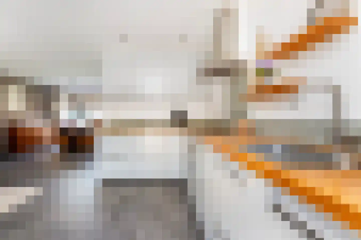 Braakvoortweg 15 't Harde thumbnail 15