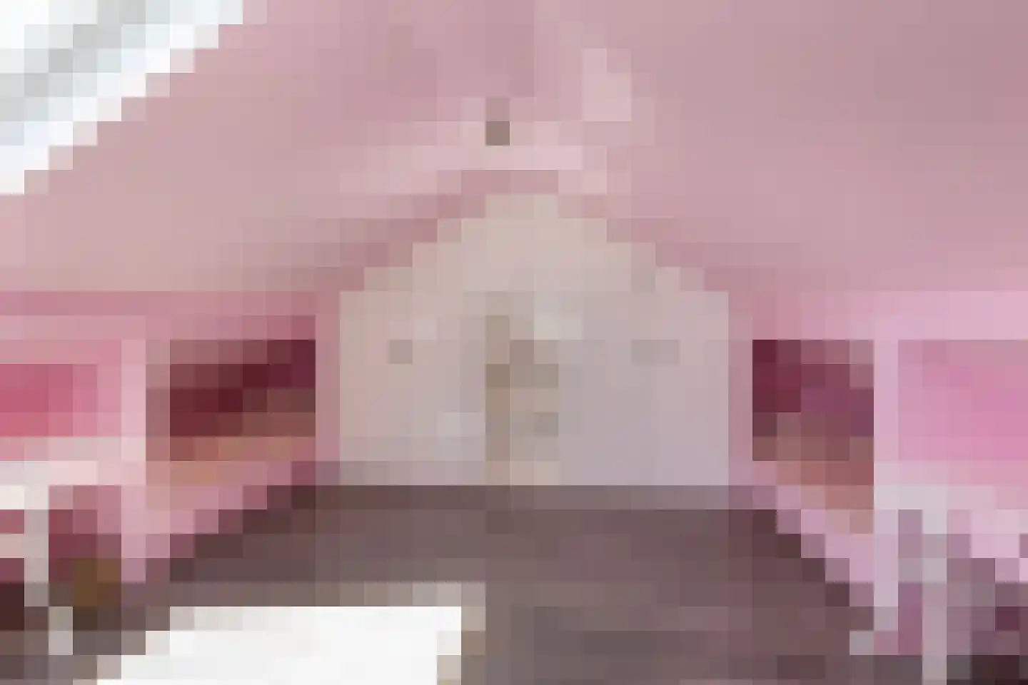 Braakvoortweg 15 't Harde thumbnail 23