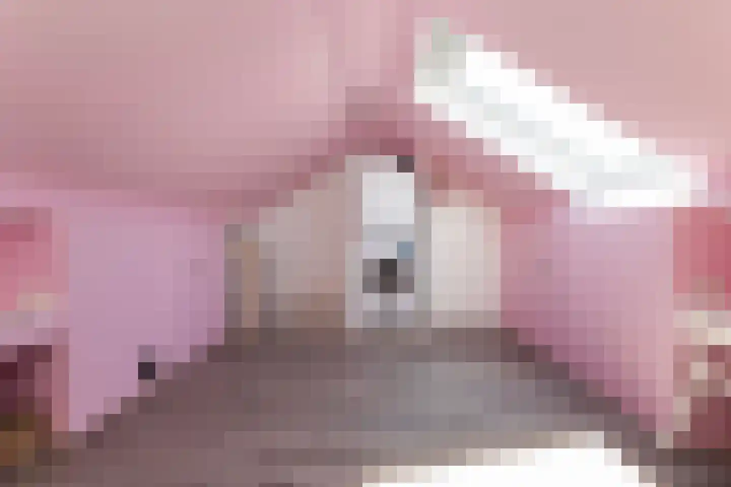 Braakvoortweg 15 't Harde thumbnail 24