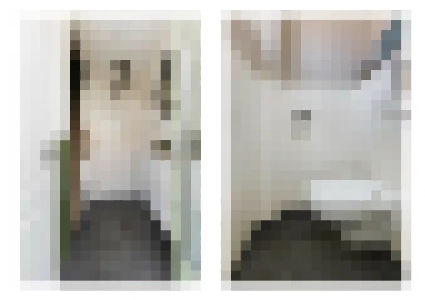Braakvoortweg 15 't Harde thumbnail 6
