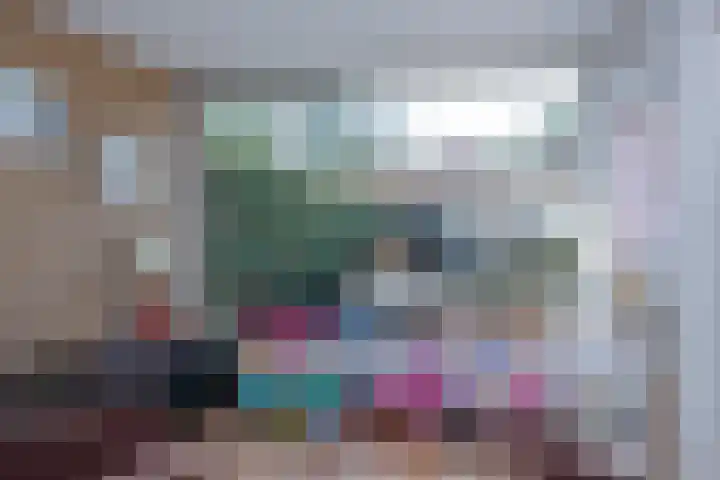 Braakvoortweg 29 't Harde thumbnail 12