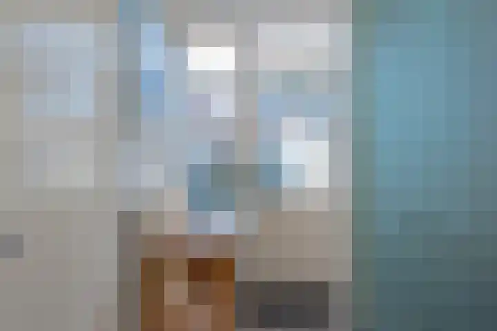 Braakvoortweg 29 't Harde thumbnail 14