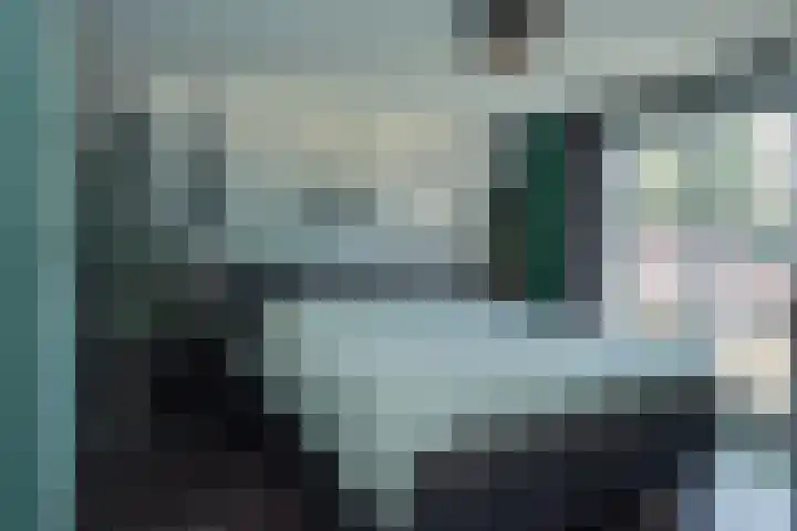 Braakvoortweg 29 't Harde thumbnail 21