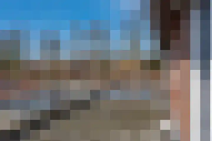 Braakvoortweg 29 't Harde thumbnail 22