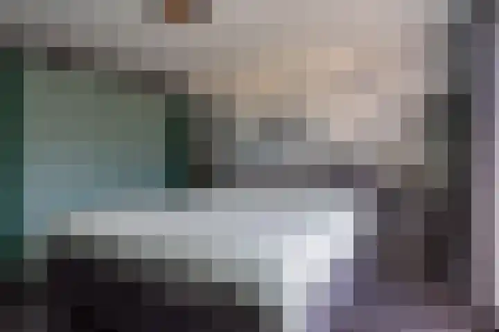 Braakvoortweg 29 't Harde thumbnail 25