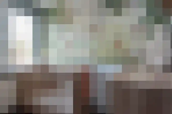 Braakvoortweg 29 't Harde thumbnail 30