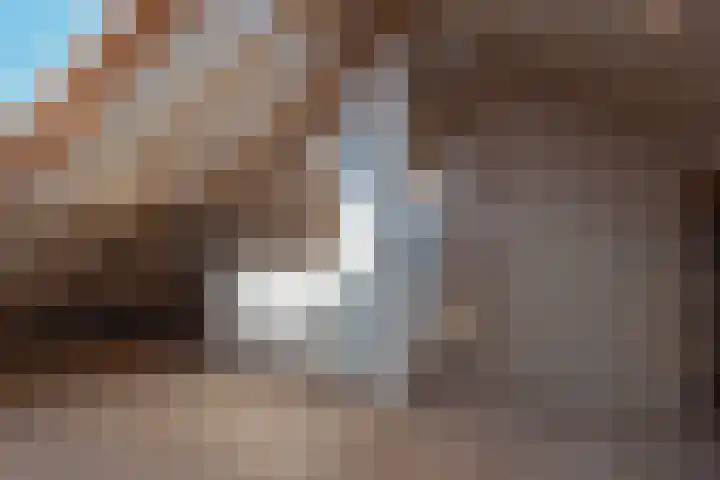 Braakvoortweg 29 't Harde thumbnail 34