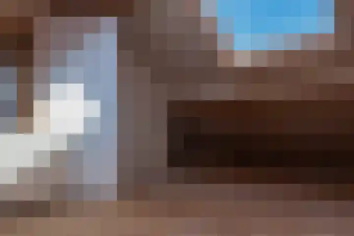Braakvoortweg 29 't Harde thumbnail 35