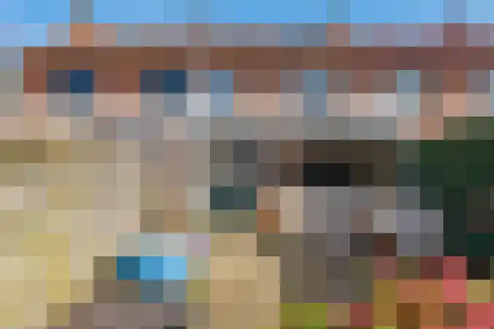 Braakvoortweg 29 't Harde thumbnail 38