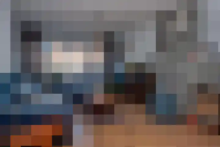 Braakvoortweg 29 't Harde thumbnail 5
