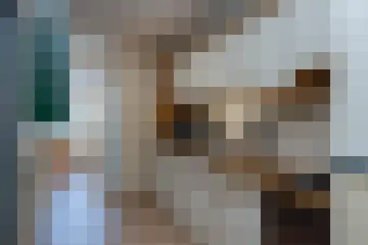 Braakvoortweg 29 't Harde thumbnail 9