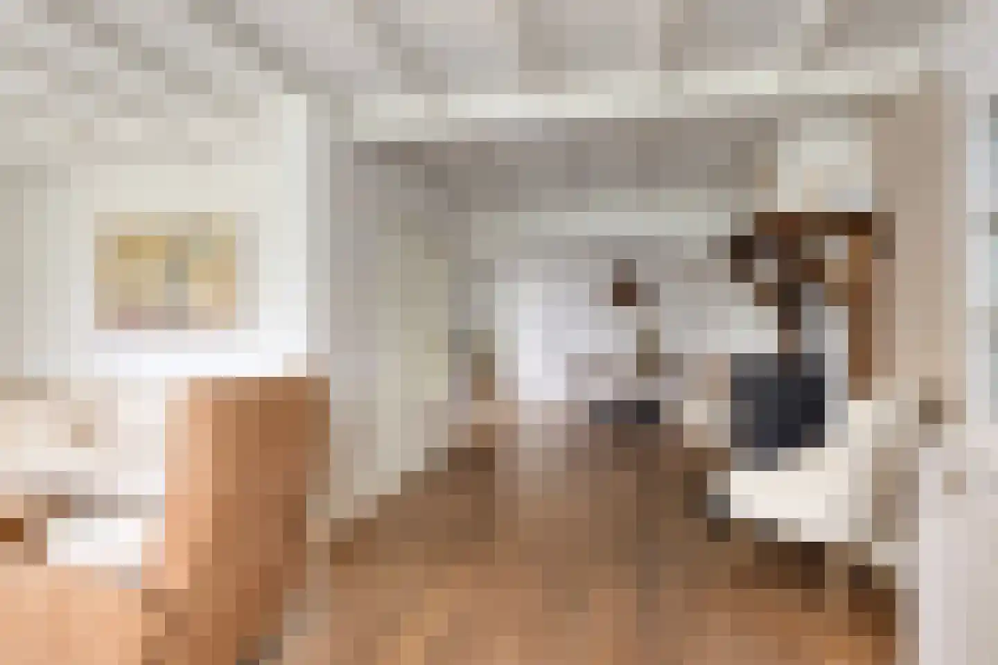Braakweg 1 Groenlo thumbnail 11