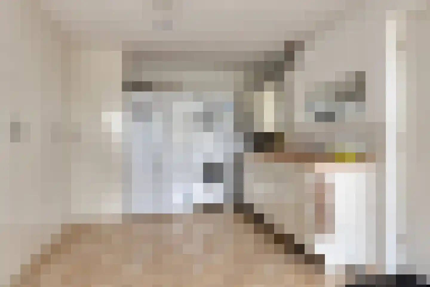Braakweg 1 Groenlo thumbnail 19