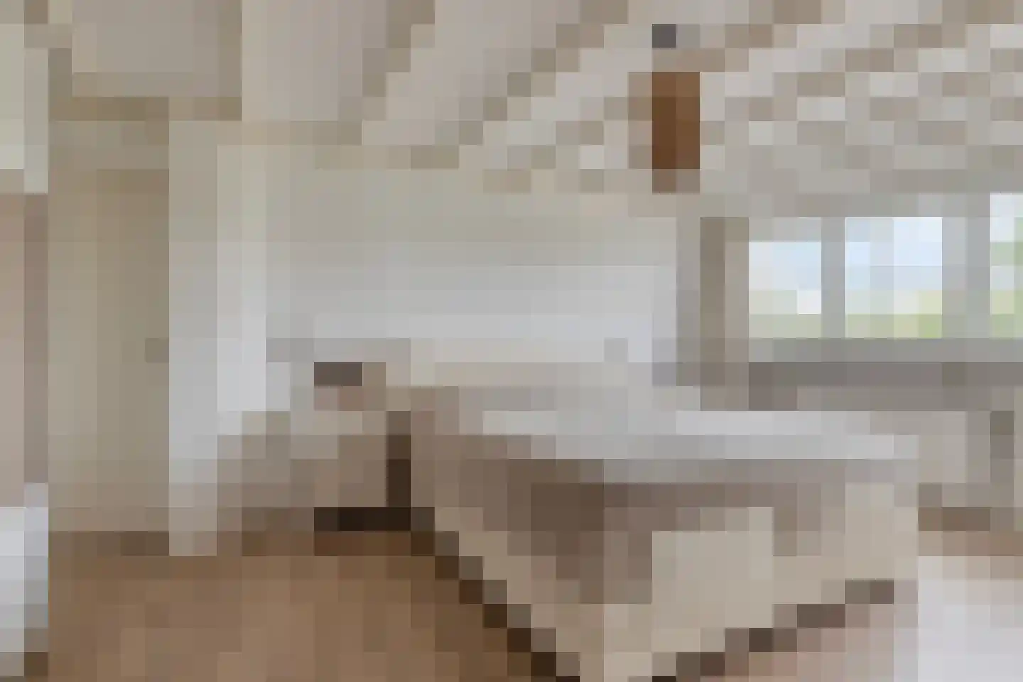 Braakweg 1 Groenlo thumbnail 30