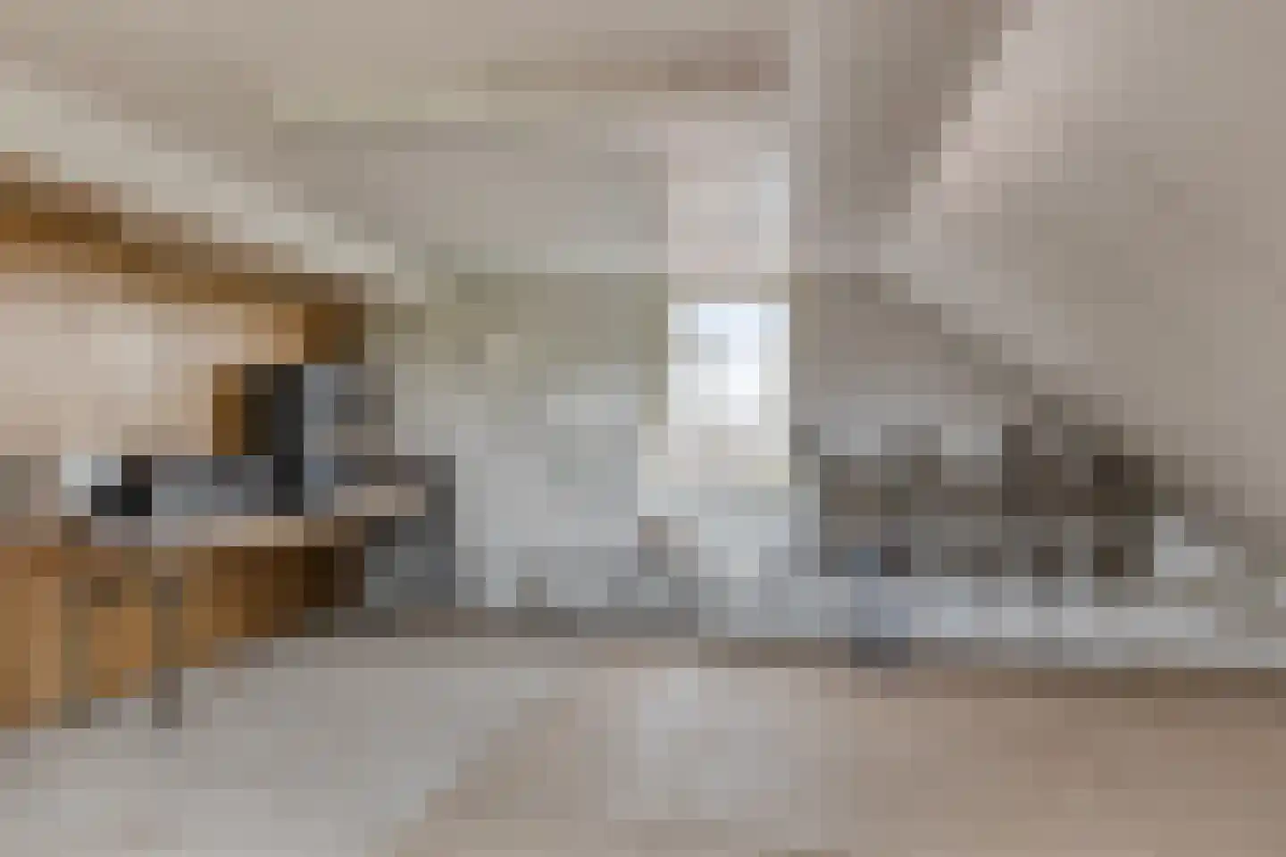 Braakweg 1 Groenlo thumbnail 38