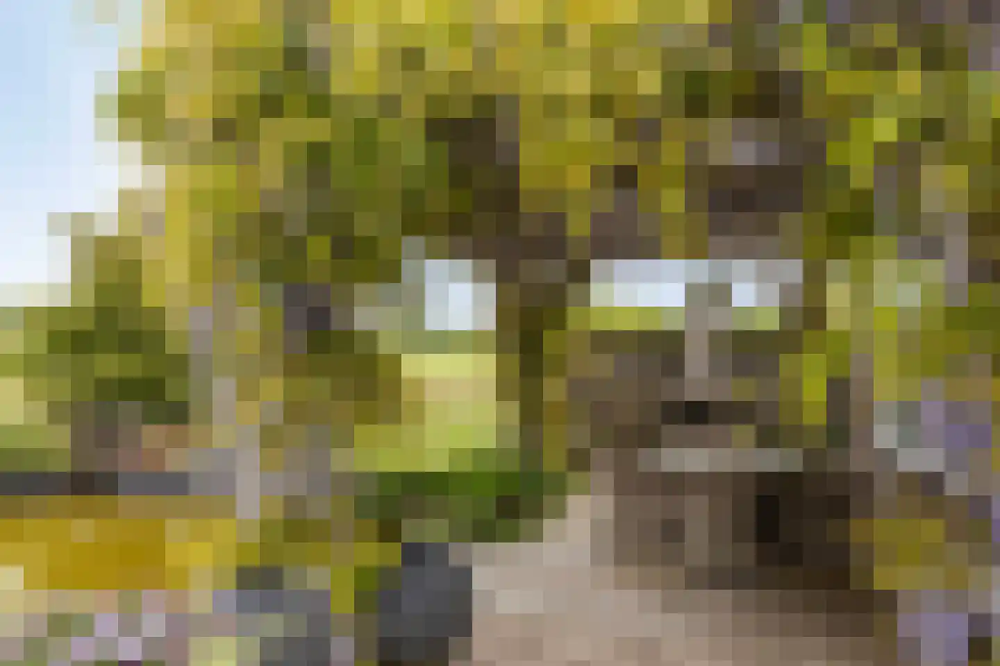Braakweg 1 Groenlo thumbnail 44