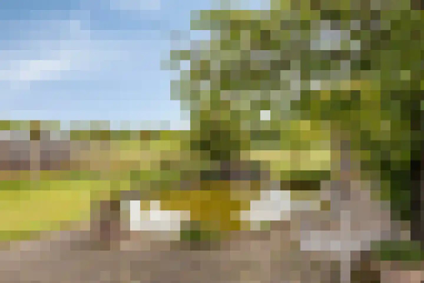 Braakweg 1 Groenlo thumbnail 45