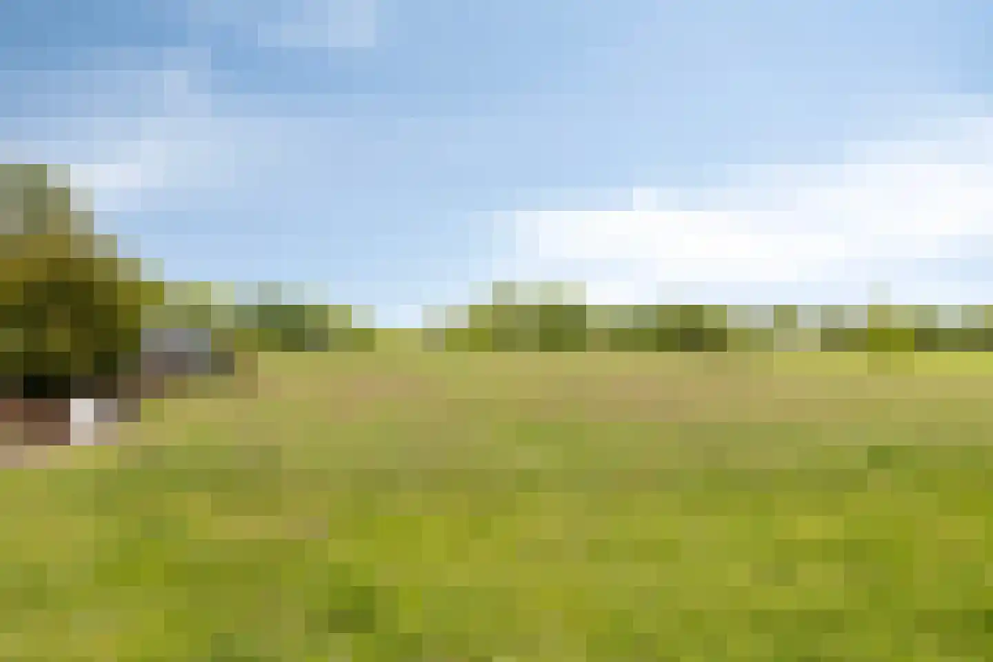 Braakweg 1 Groenlo thumbnail 51