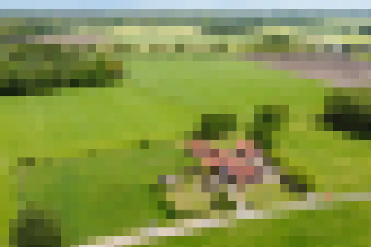 Braakweg 1 Groenlo thumbnail 53