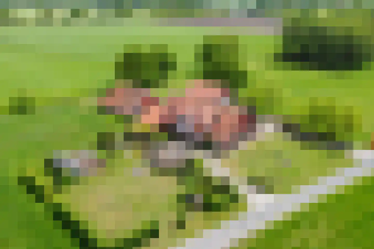 Braakweg 1 Groenlo thumbnail 54