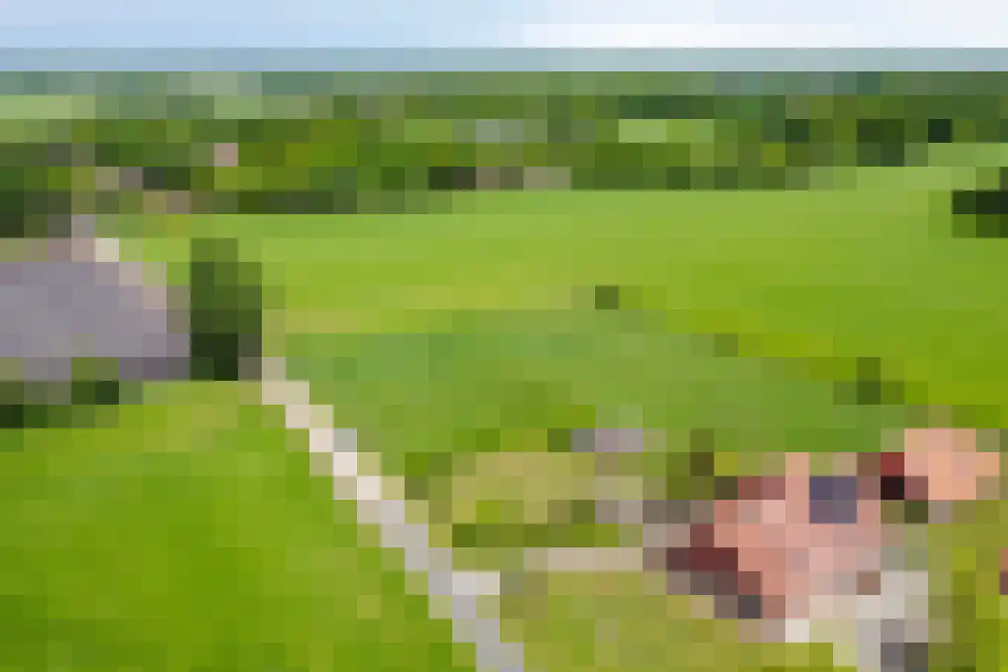 Braakweg 1 Groenlo thumbnail 55