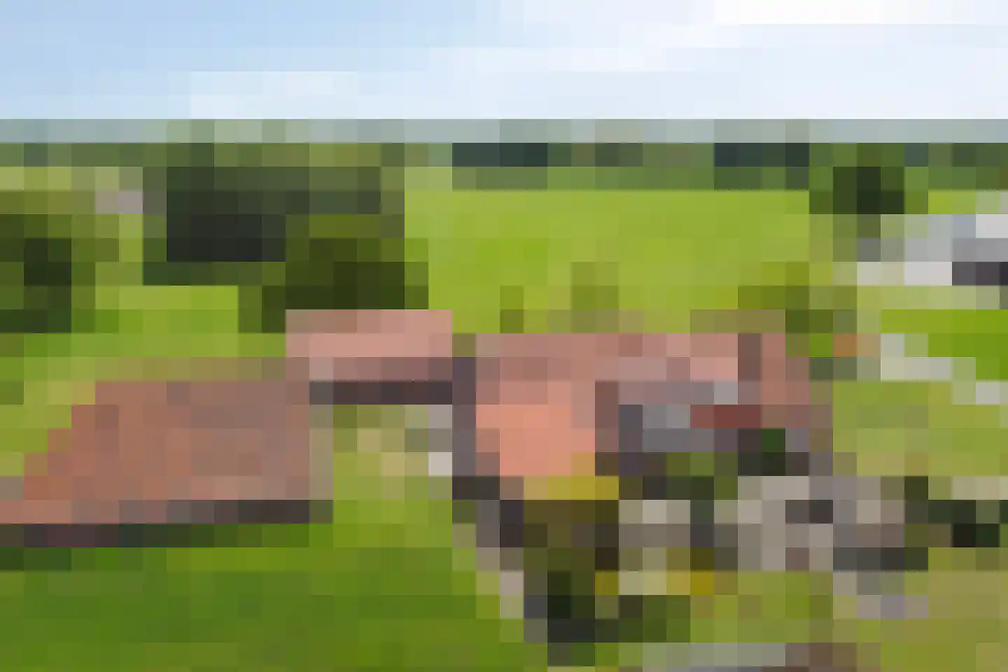 Braakweg 1 Groenlo thumbnail 56