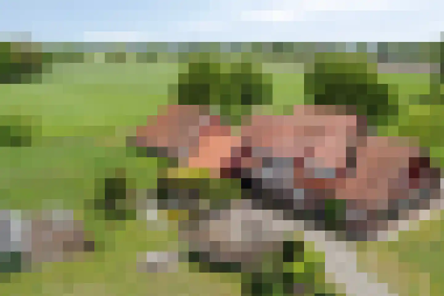 Braakweg 1 Groenlo thumbnail 57