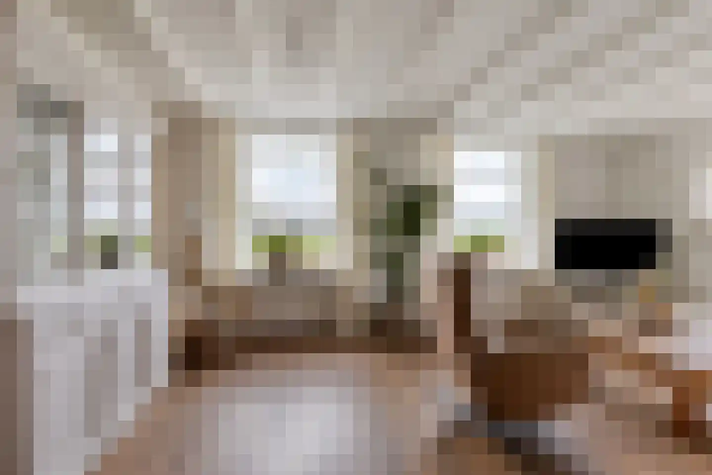 Braakweg 1 Groenlo thumbnail 8