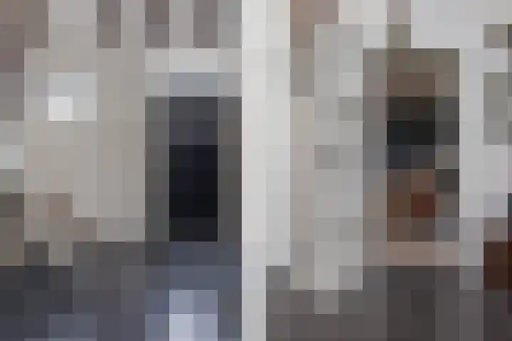 Braakweg 2 Aartswoud thumbnail 14
