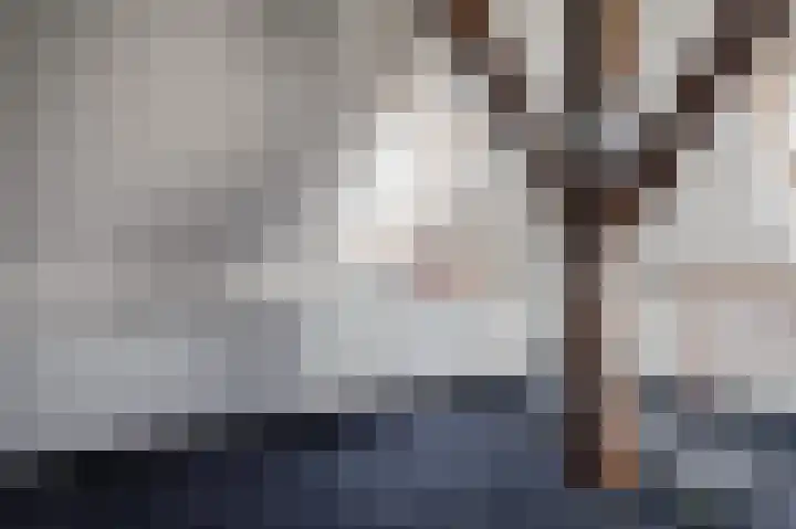 Braakweg 2 Aartswoud thumbnail 18