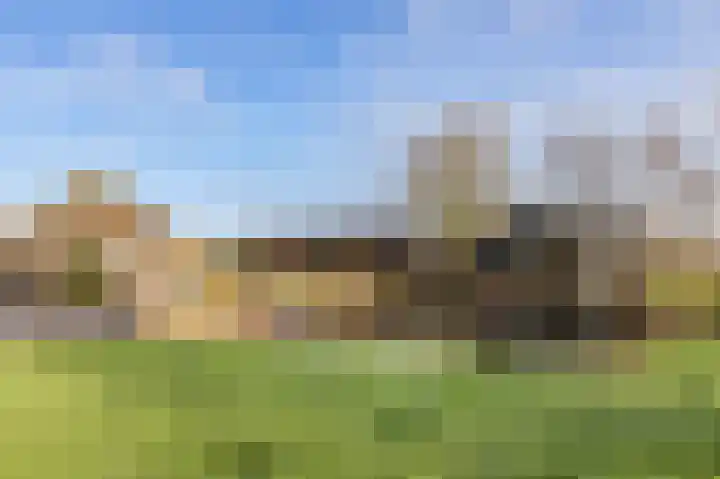 Braakweg 2 Aartswoud thumbnail 23