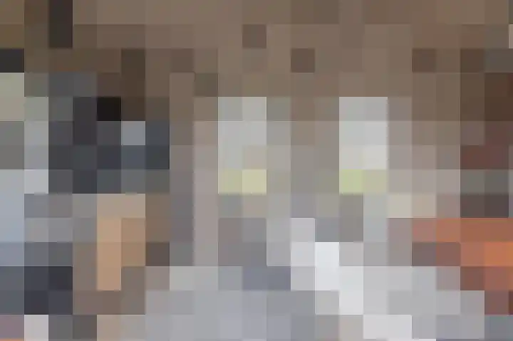 Braakweg 2 Aartswoud thumbnail 25