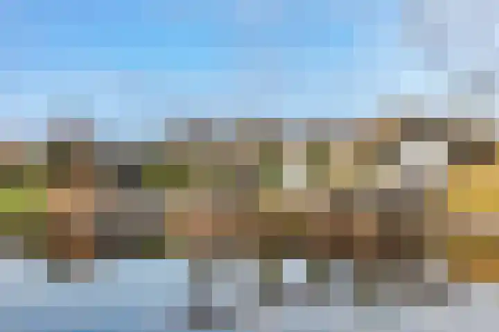Braakweg 2 Aartswoud thumbnail 32