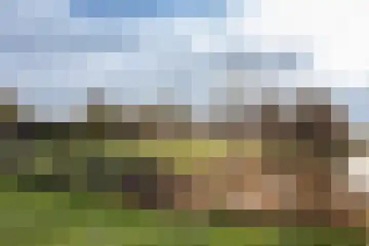 Braakweg 2 Aartswoud thumbnail 35