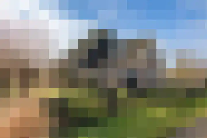 Braakweg 2 Aartswoud thumbnail 36