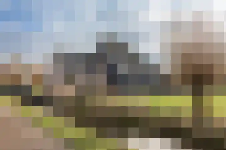 Braakweg 2 Aartswoud thumbnail 37
