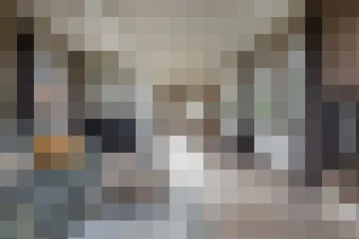 Braakweg 2 Aartswoud thumbnail 4