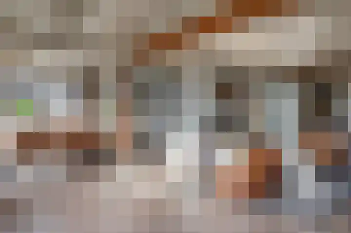 Braakweg 2 Aartswoud thumbnail 9