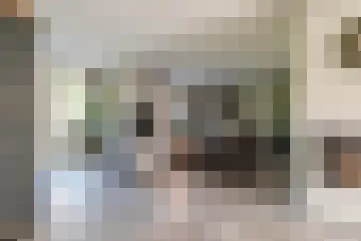Braam 14 Nijkerk thumbnail 11