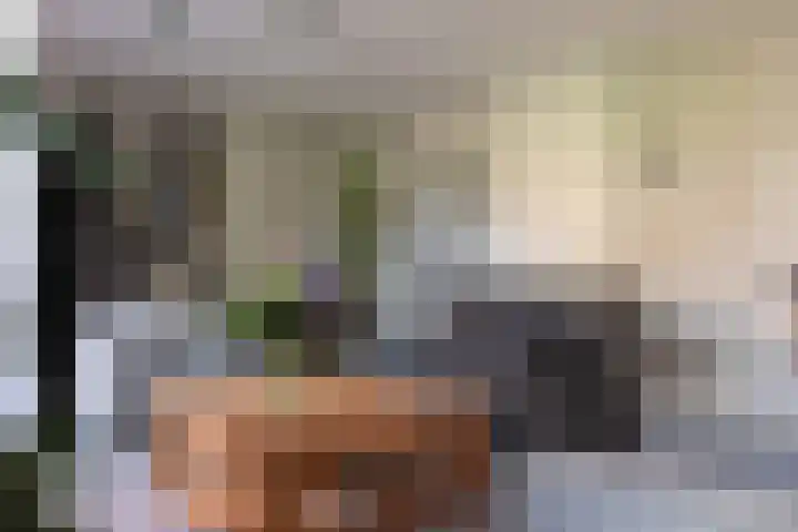 Braam 14 Nijkerk thumbnail 12