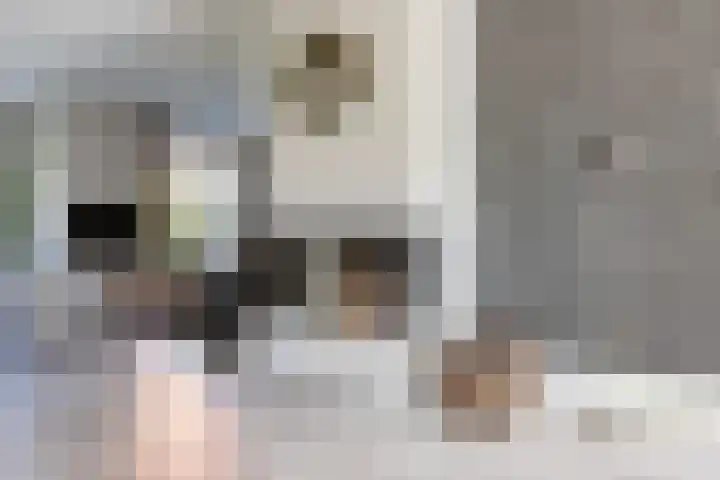 Braam 14 Nijkerk thumbnail 15