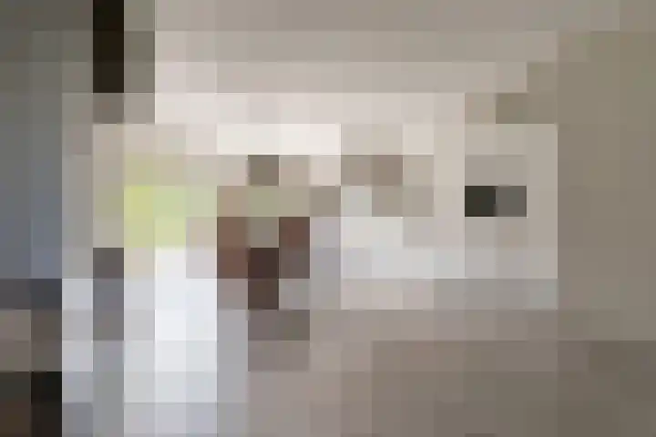 Braam 14 Nijkerk thumbnail 16
