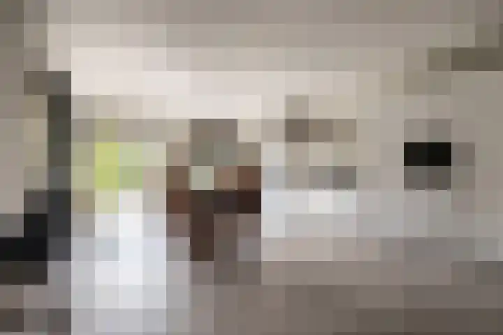 Braam 14 Nijkerk thumbnail 17