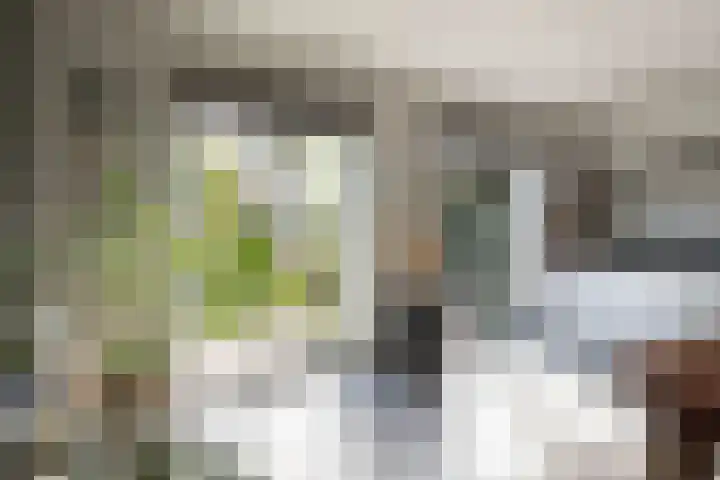 Braam 14 Nijkerk thumbnail 20