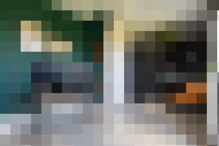 Braam 14 Nijkerk thumbnail 30