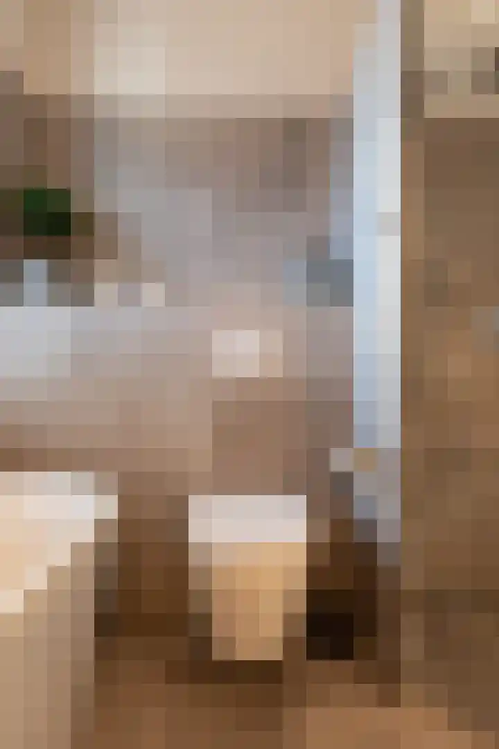 Braam 14 Nijkerk thumbnail 33